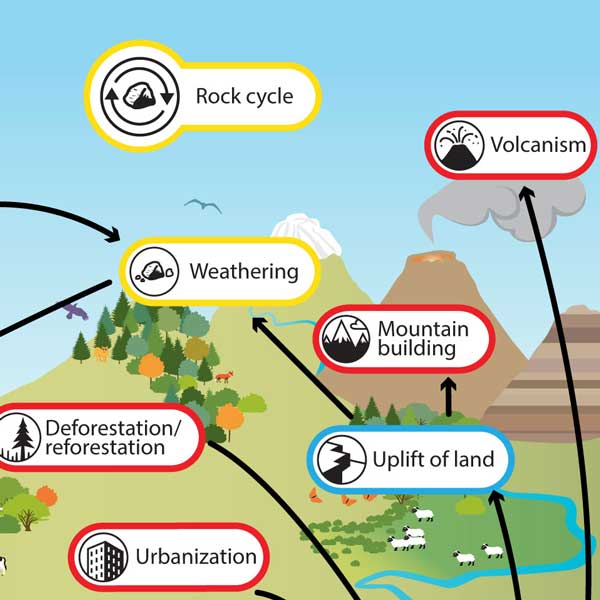 closeup image of storyboard